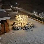 Bigio Assisi