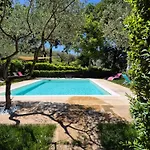Bigio Assisi