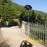 Bigio