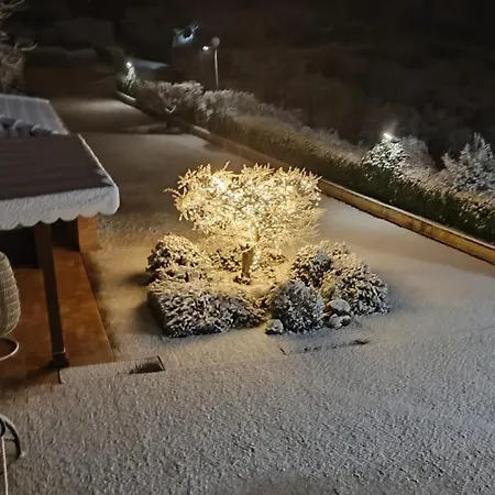 Bigio Assisi