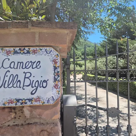Bigio