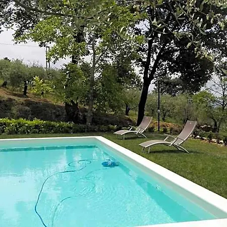 Bigio Assisi