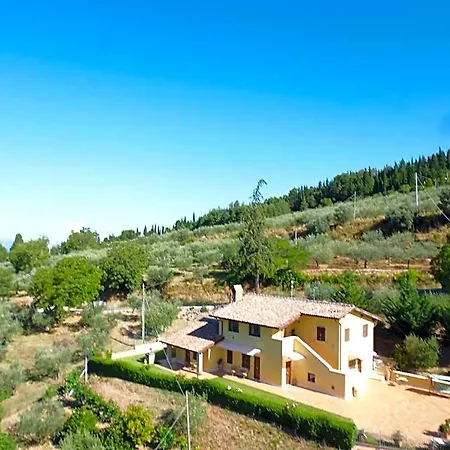 Bigio Assisi