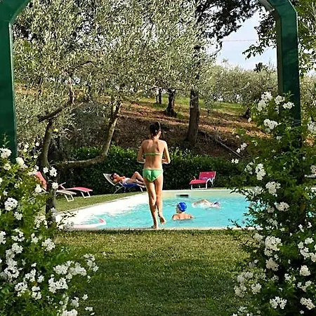 Bigio Assisi