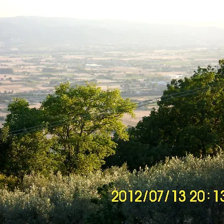 Bigio Assise