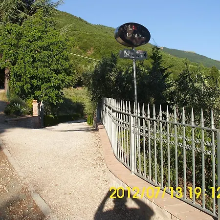 Bigio