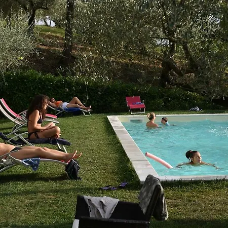 Bigio Assise