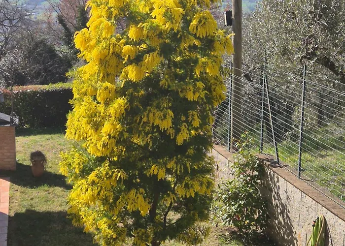 比吉欧别墅住宿加早餐旅馆 住宿加早餐酒店 阿西西